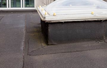 disadvantages of Dunterton flat roofs